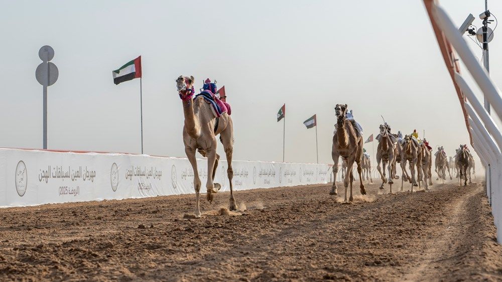 هزاع بن زايد يشهد فعاليات سباق فئة «اللقايا» في ميدان الروضة بمنطقة العين