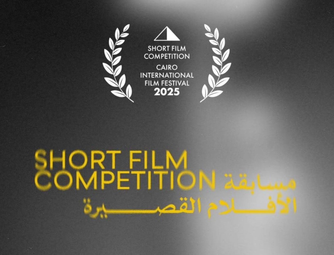 قائمة الأفلام القصيرة المشاركة في مهرجان القاهرة السينمائي 2025