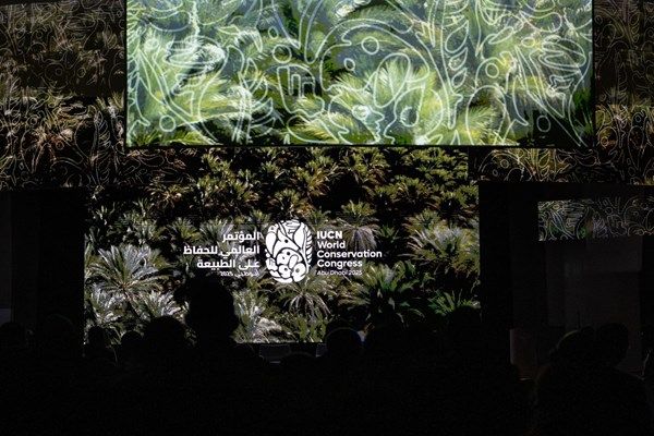 شركات إماراتية تُعزز مستقبل الاستدامة في «المؤتمر العالمي للحفاظ على الطبيعة»