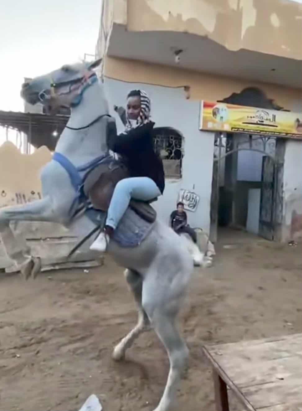 شاهد بالصورة والفيديو.. فتاة سودانية تظهر براعة كبيرة في ركوب الخيل بمصر وتنال إعجاب جمهور مواقع التواصل ببلادها