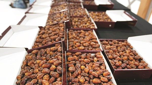 «زراعة أبوظبي» تستعرض مشاريعها وخدماتها في «الظفرة للتمور»