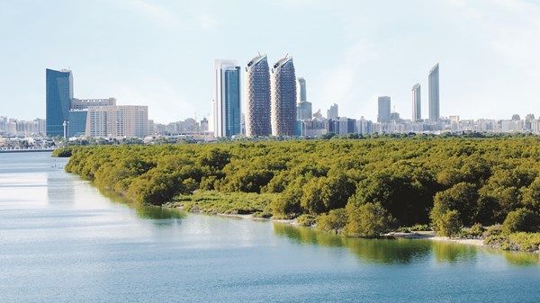 الإمارات.. توحِّد العالم لمواجهة تحديات تغير المناخ