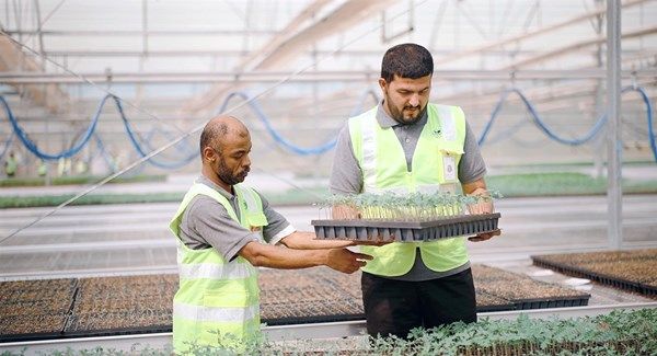 "زايد لأصحاب الهمم" تطلق المرحلة التطبيقية من "البرنامج المهني" لتأهيل منتسبيها بمواقع العمل الخارجية