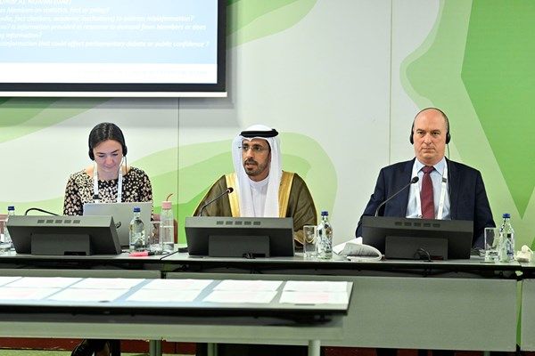"الوطني الاتحادي" يترأس جلسة في جنيف حول تعزيز دور البرلمانات في دعم صنع القرار