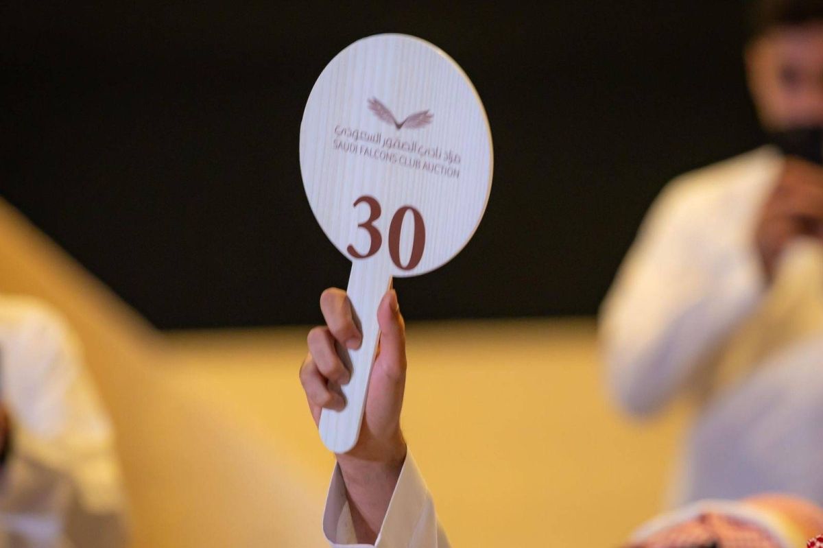 بيع صقرين بـ (163) ألف ريال في الليلة الـ 11 لمزاد نادي الصقور السعودي 2025