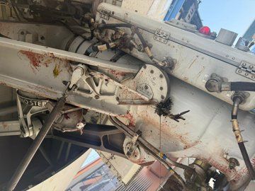 بالصور: اصطدام طائرة الخطوط السعودية بسرب طيور مهاجرة أثناء إقلاعها من الجزائر