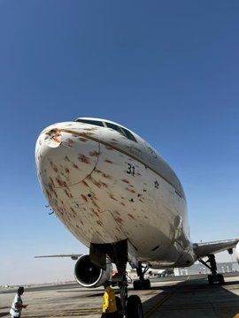 بالصور: اصطدام طائرة الخطوط السعودية بسرب طيور مهاجرة أثناء إقلاعها من الجزائر