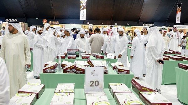«الظفرة للتمور» يتوج الفائزين في مسابقات الفرض والعسل