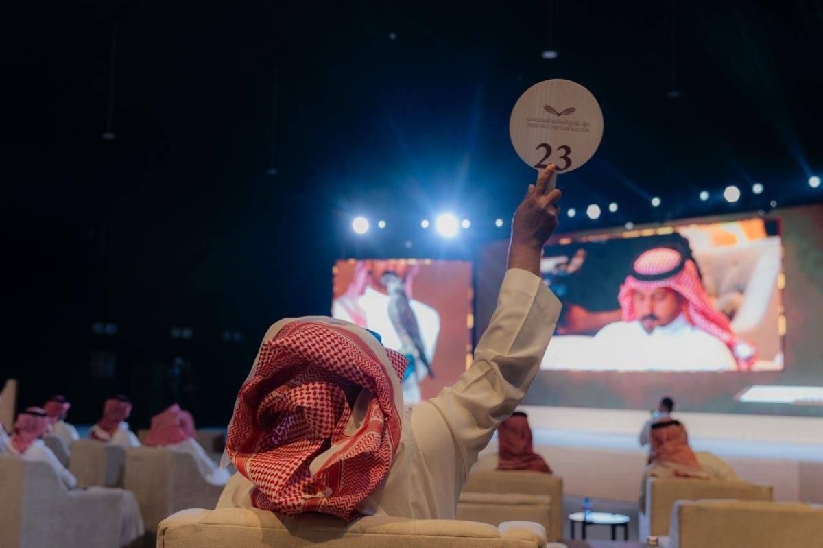 بيع صقرين بـ (578) ألف ريال في الليلة الـ 13 لمزاد نادي الصقور السعودي 2025