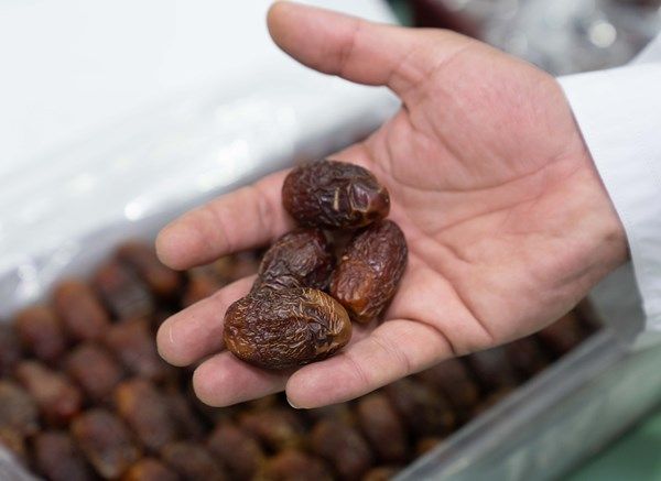 «مهرجان الظفرة للتمور» يحتفي بالموروث الزراعي الإماراتي ويدعم استدامة الإنتاج المحلي