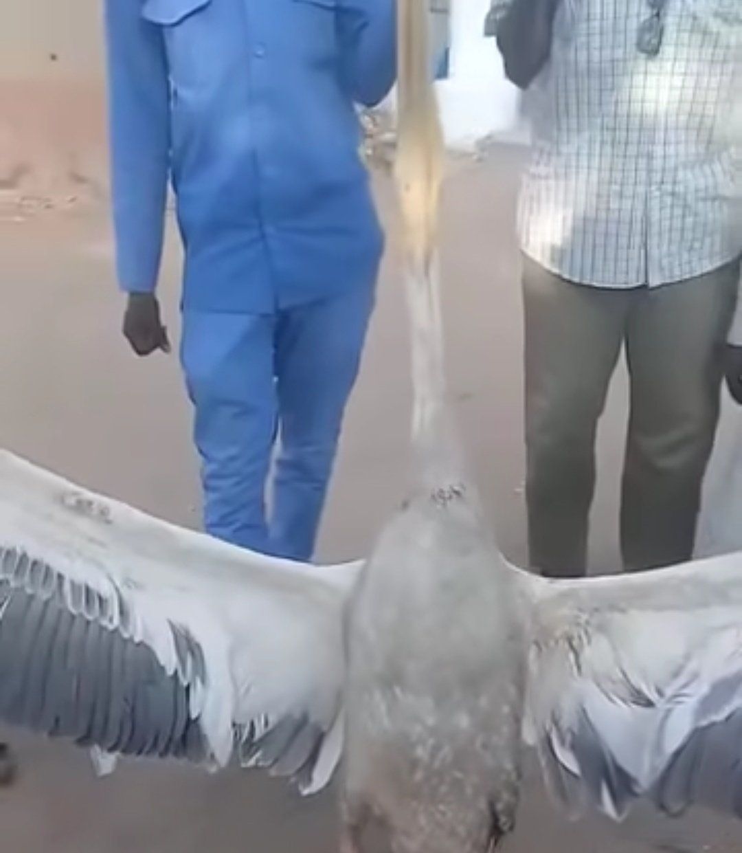 شاهد بالصورة والفيديو.. الأولى في عهد الخليفة التعايشي.. “الجنجاويد” يغتالون “الطيرة” للمرة الثانية في التاريخ