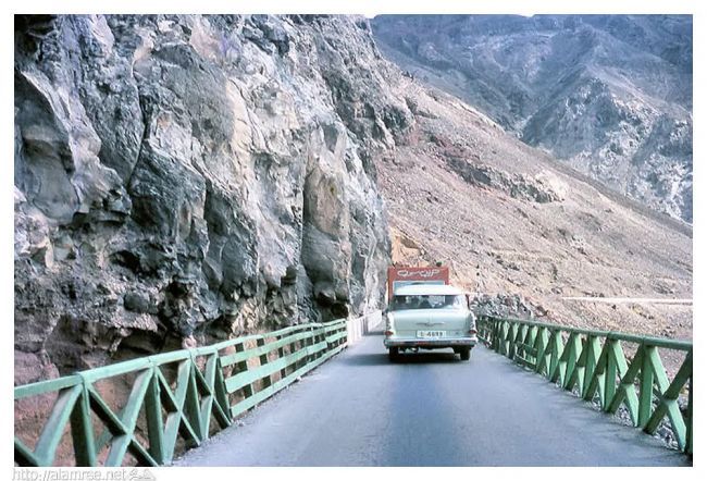 عصابة في عدن توهم المواطنين بمساعدات مالية