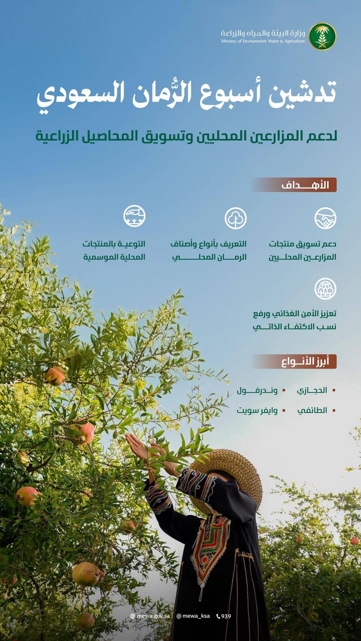 «البيئة» تدشن «أسبوع الرمان السعودي»