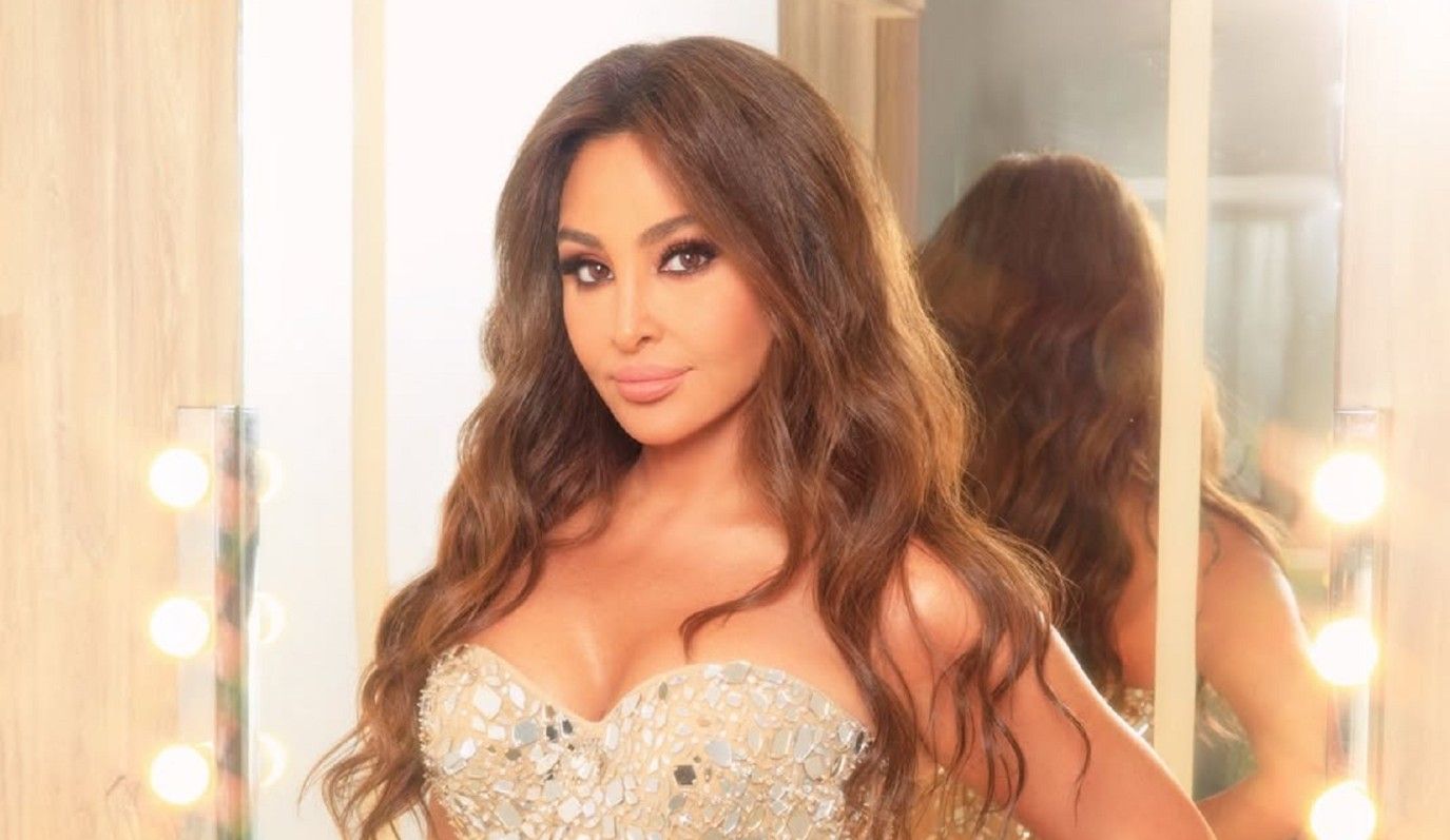 إليسا تحتفل بيوم ميلادها مع السقا وكريم فهمي وماجد المصري