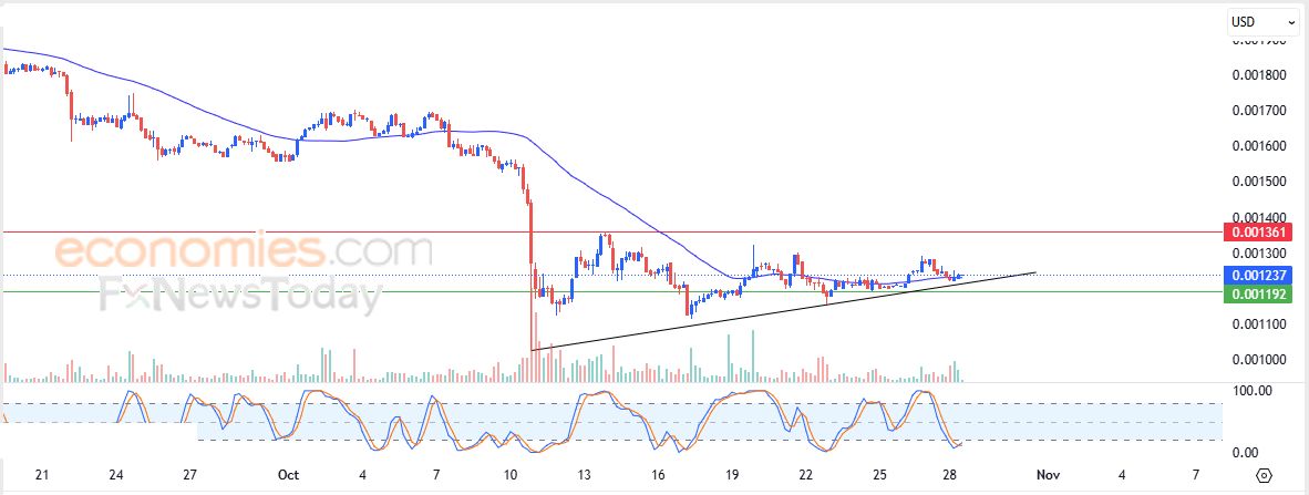 سعر عملة VeThor Token (VTHOUSD) يظهر إشارات إيجابية – تحليل – 28-10-2025