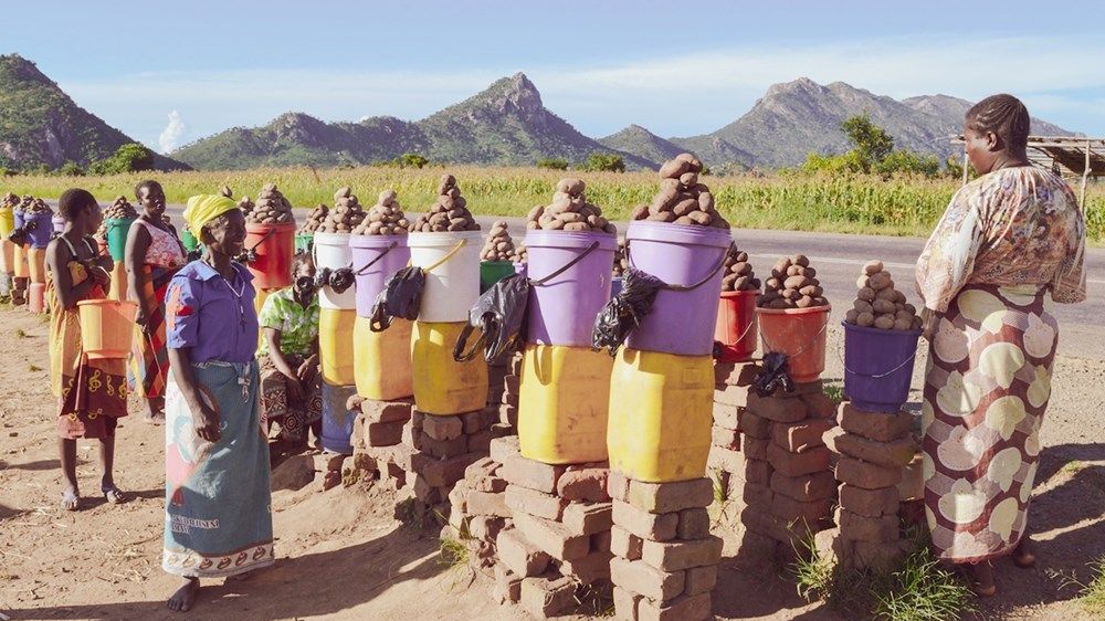 «نماء» تمد جسر التعاون لملاوي لتمكين المرأة عالمياً ودعم العمل الإنساني