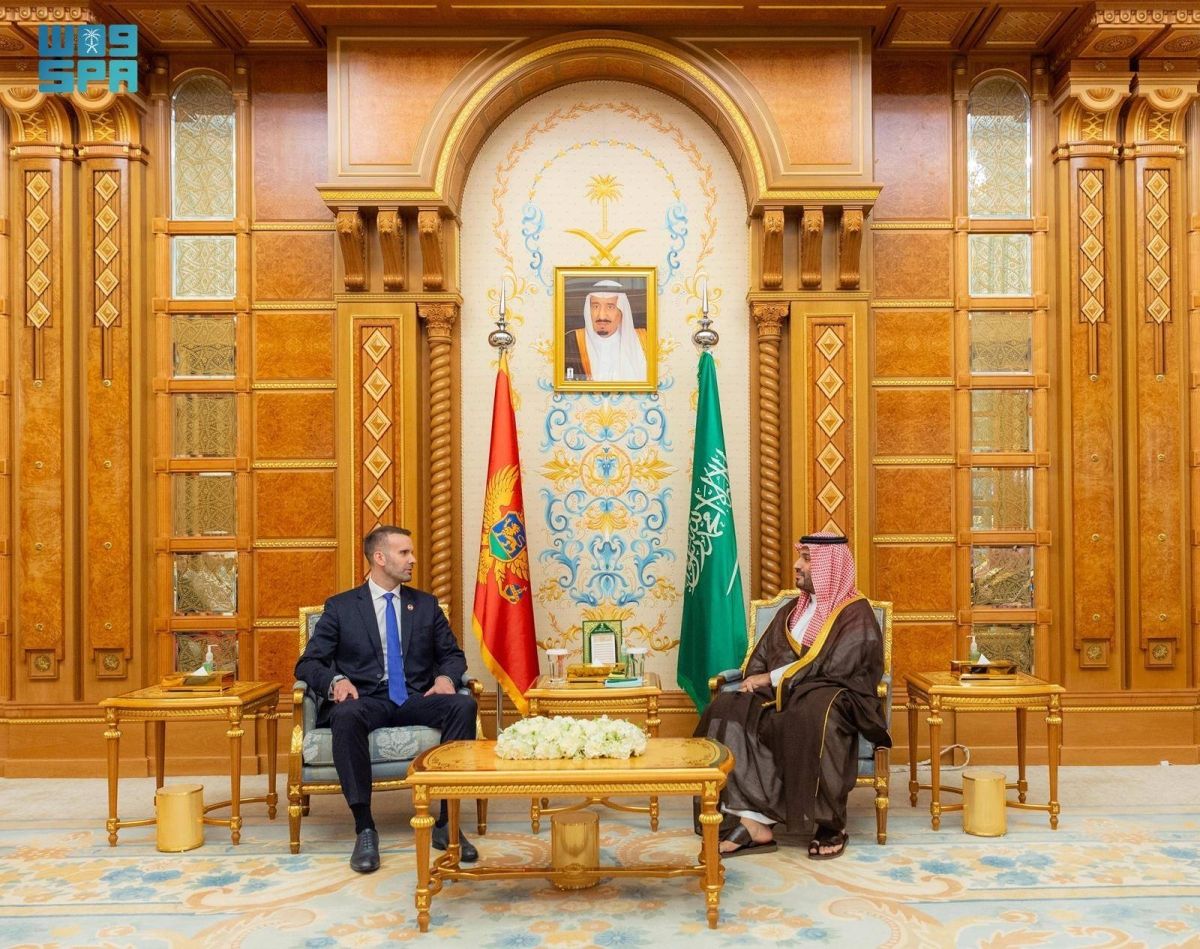 ولي العهد يلتقي رئيس وزراء جمهورية الجبل الأسود