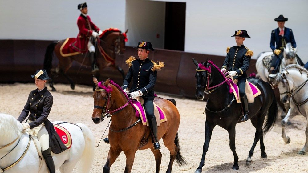 منصور بن زايد يفتتح «أبوظبي للفنون الفروسية الأميرية» في جزيرة الجبيل