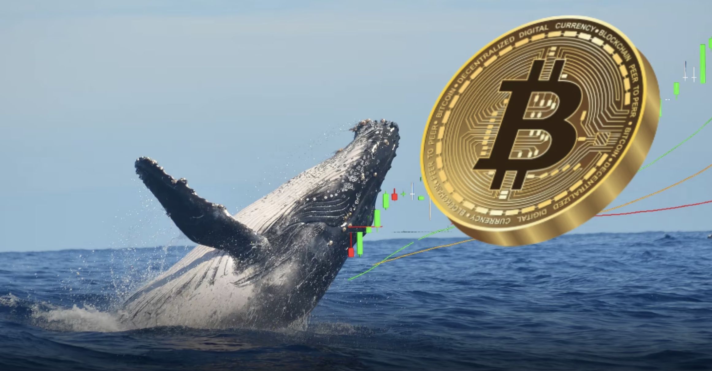 ارتفاع نشاط المعاملات الكبرى: هل تستعد البيتكوين والإيثيريوم لاختراقات سعرية؟