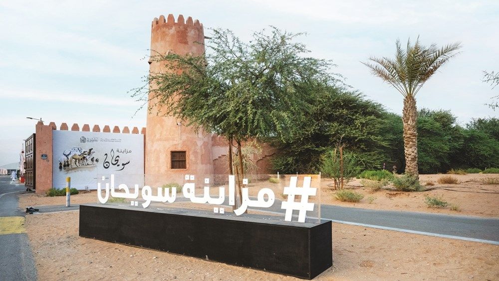 محمد بن حمدان بن زايد يشهد جانباً من مزاينة سويحان