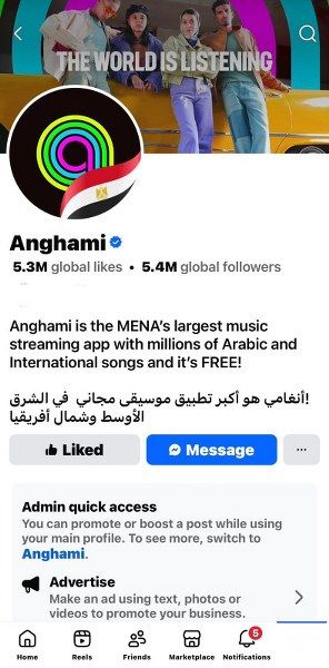 أنغامي تحتفي بفخرها الوطني وتُظهر دعمها لمصر في افتتاح المتحف المصري الكبير