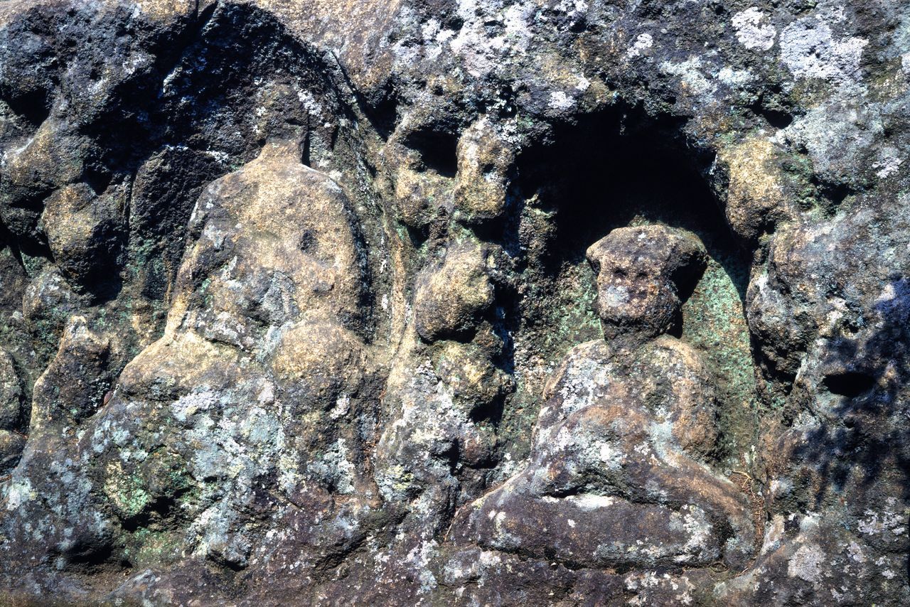 اليابان | مسار تين-إن في كاماكورا: رحلة بين معابد التاريخ وسحر الطبيعة وألوان الفصول