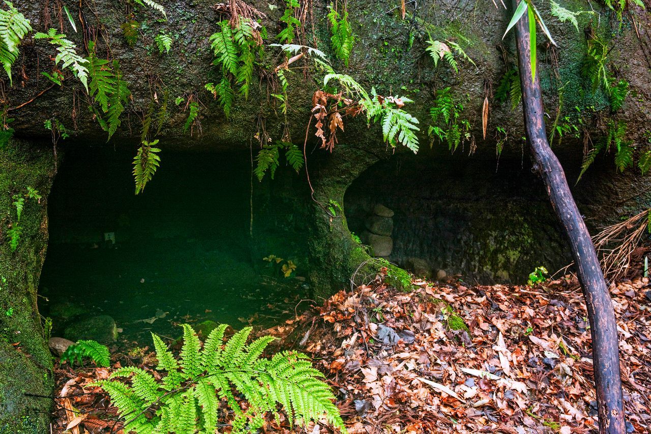 اليابان | مسار تين-إن في كاماكورا: رحلة بين معابد التاريخ وسحر الطبيعة وألوان الفصول
