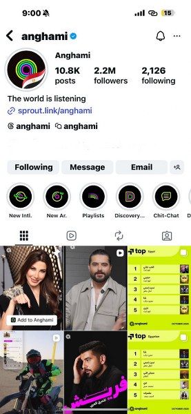 أنغامي تحتفي بفخرها الوطني وتُظهر دعمها لمصر في افتتاح المتحف المصري الكبير