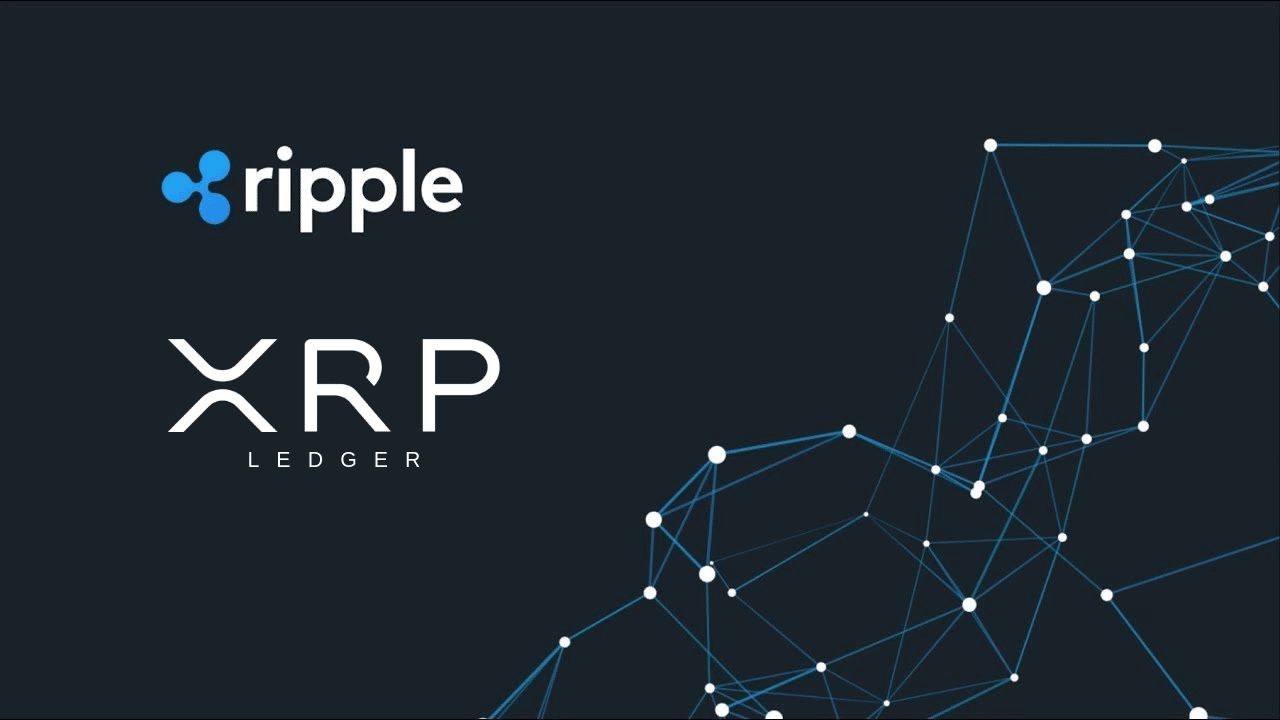 مؤشر ايجابي يظهر ارتفاع المعاملات على XRPL لكنه لا يمنع التساؤلات حول مستقبل XRP!