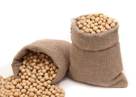 البحر الأحمر السعودية تعلن خطتها الاستراتيجية لشطب الخسائر المتراكمة قبل نهاية عام 2025