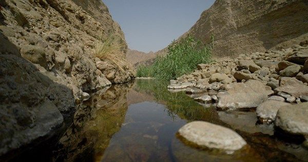 محمية وادي الوريعة.. خطى واثقة  نحو قائمة التراث العالمي
