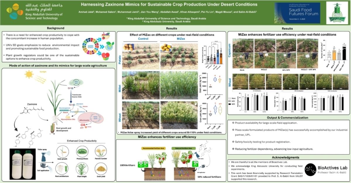 باحثون يتوصلون لنتائج واعدة 
في مجال زيادة إنتاج القمح والدخن