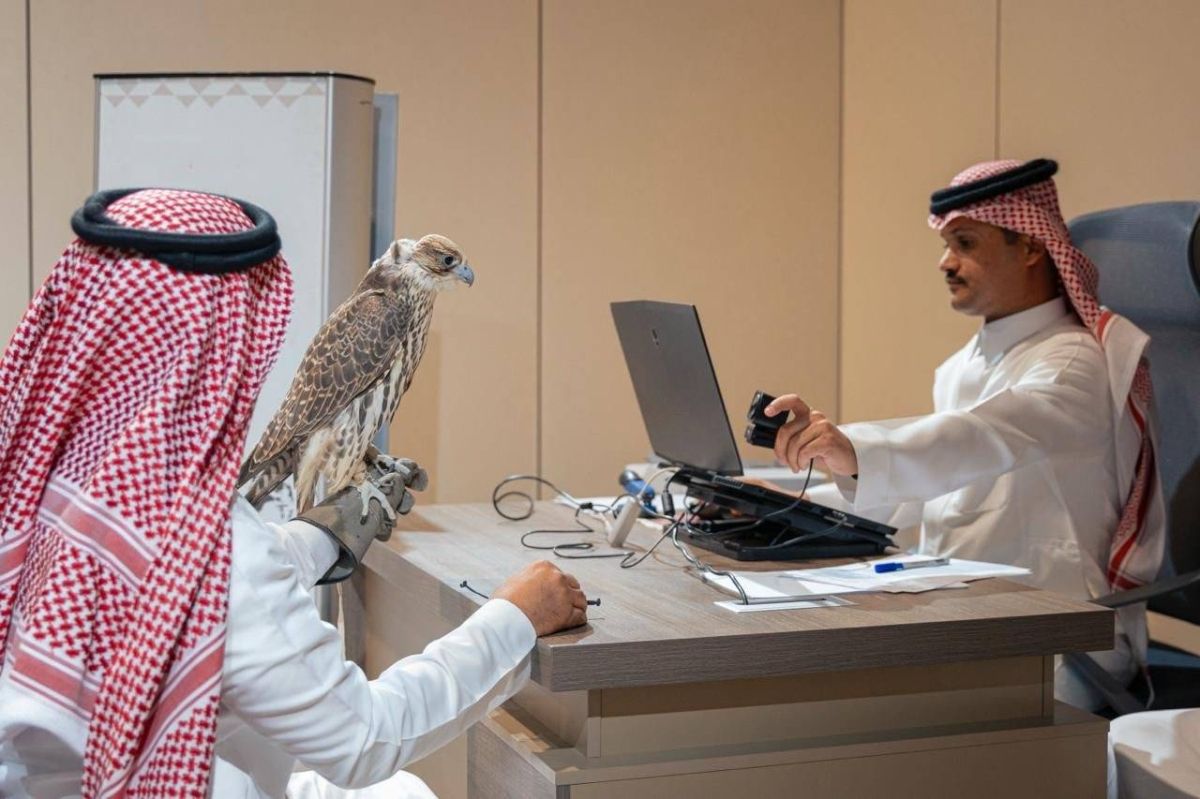 بدء تسجيل الراغبين في المشاركة بمنافسات كأس نادي الصقور السعودي ومهرجان الملك عبدالعزيز 2025