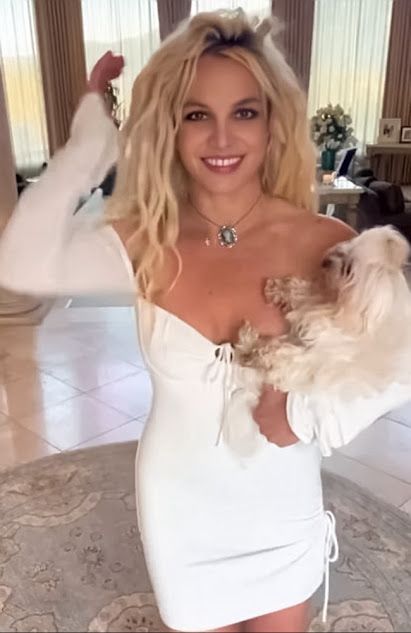 بريتني سبيرز تنجو من الموت بأعجوبة… اقرأ التفاصيل