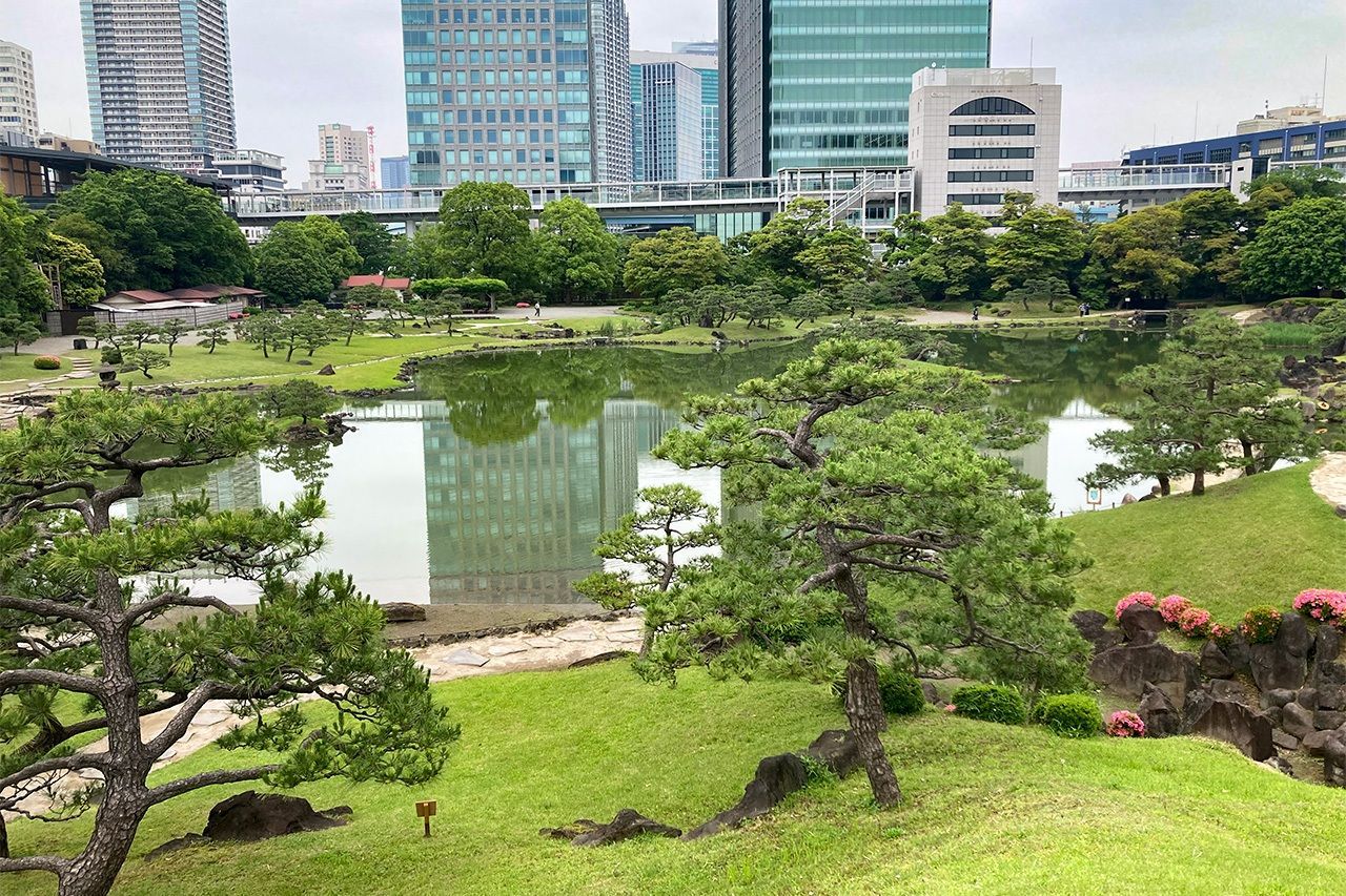 تقف كيو-شيبا-ريكيو الساحرة كجيبٍ متحدٍّ ضد التوسع العمراني (© غياني سيموني)