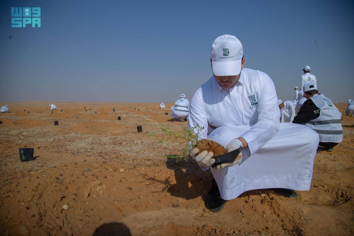 هيئة تطوير محمية الملك سلمان تنظم مبادرة لزراعة 3000 شتلة
