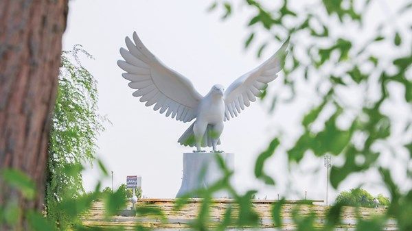 إطلاق مشروع تطوير وتأهيل 23 دواراً في مدن منطقة الظفرة