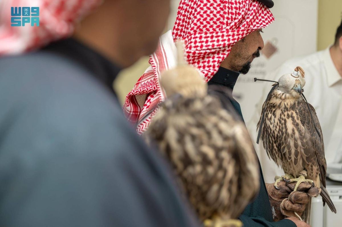 نادي الصقور السعودي يواصل جولته الميدانية لتصحيح أوضاع الصقور وتوثيق ملكياتها في مناطق المملكة
