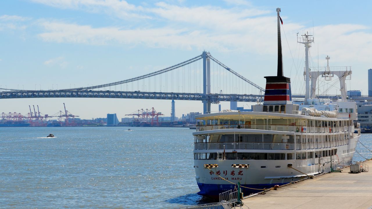 اليابان | جولة ساحرة في قلب طوكيو: من سكينة المعابد إلى حدائق مخفية وفن أوروبي فريد