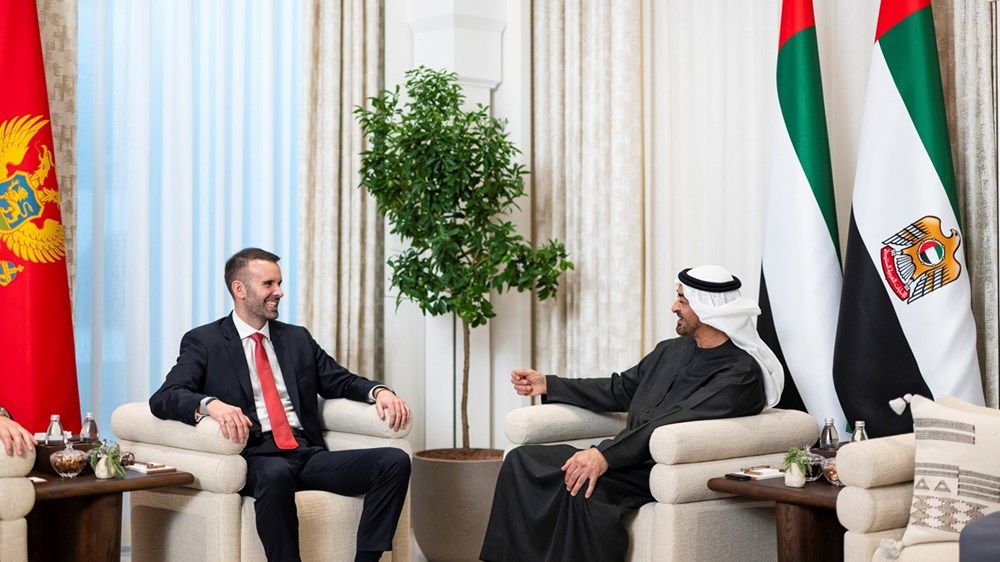 رئيس الدولة ورئيس وزراء مونتينيغرو يبحثان علاقات البلدين