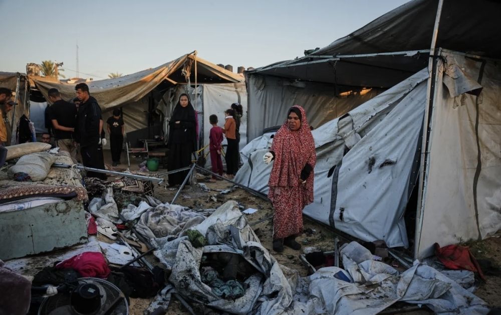 موسم الزيتون ملطخ بالدم