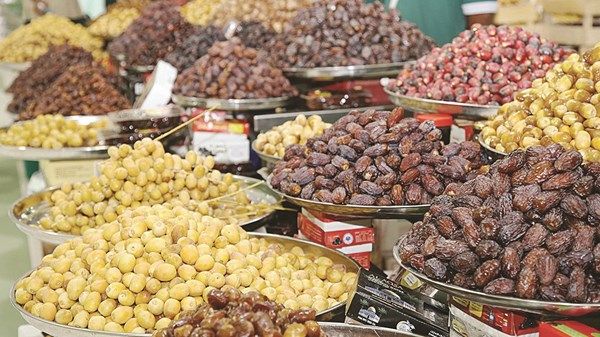 افتتاح المهرجان الدولي الثامن للتمور المصرية بالواحات البحرية