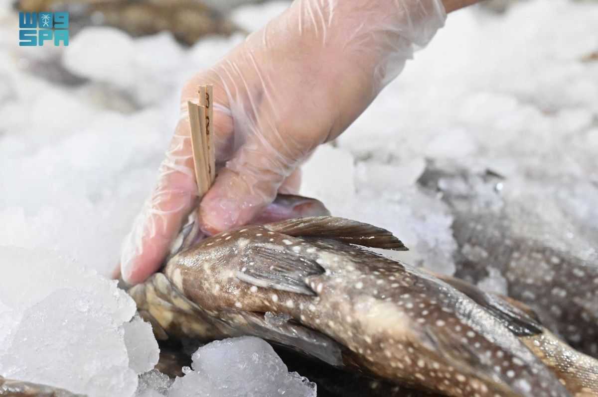 «بيئة جازان» تنفذ 521 جولة رقابية وتضبط 427 كجم من الأغذية غير الصالحة للاستهلاك