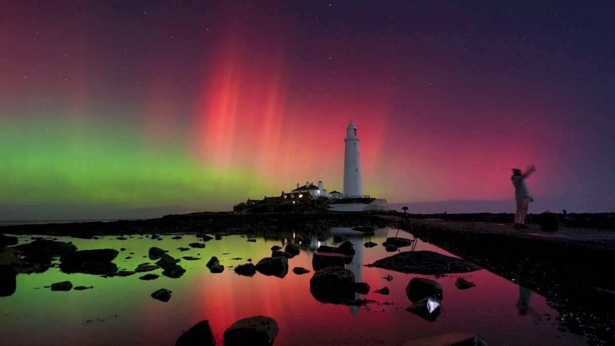 عاصفة "آكلة لحوم البشر" تضرب الأرض الأربعاء