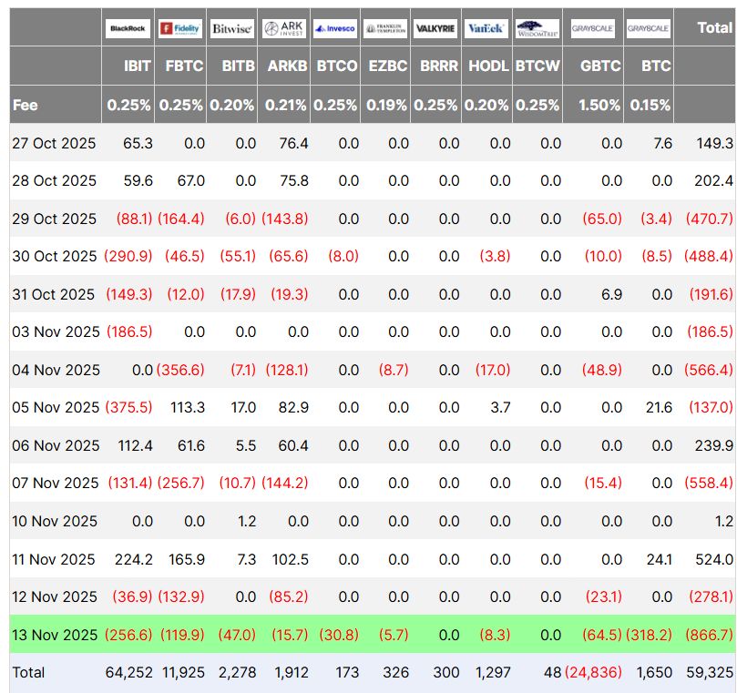 صناديق بيتكوين المتداولة تسجّل تدفقات خارجة بقيمة 866 مليون دولار في ثاني أسوأ أيامها على الإطلاق… لكن بعض المحللين لا يزالون متفائلين