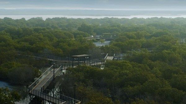 هيئة البيئة - أبوظبي تطلق بوابة لرصد حالة البيئة بتقنيات الذكاء الاصطناعي