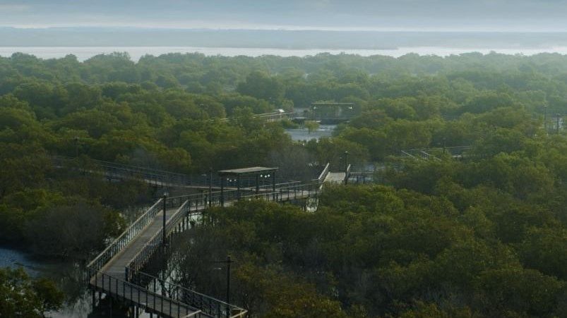 هيئة البيئة - أبوظبي تطلق بوابة لرصد حالة البيئة بتقنيات الذكاء الاصطناعي