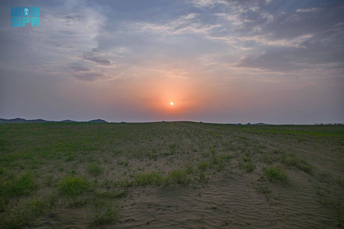 مهرجان شتاء الباحة.. حراك سياحي وترفيهي متكامل