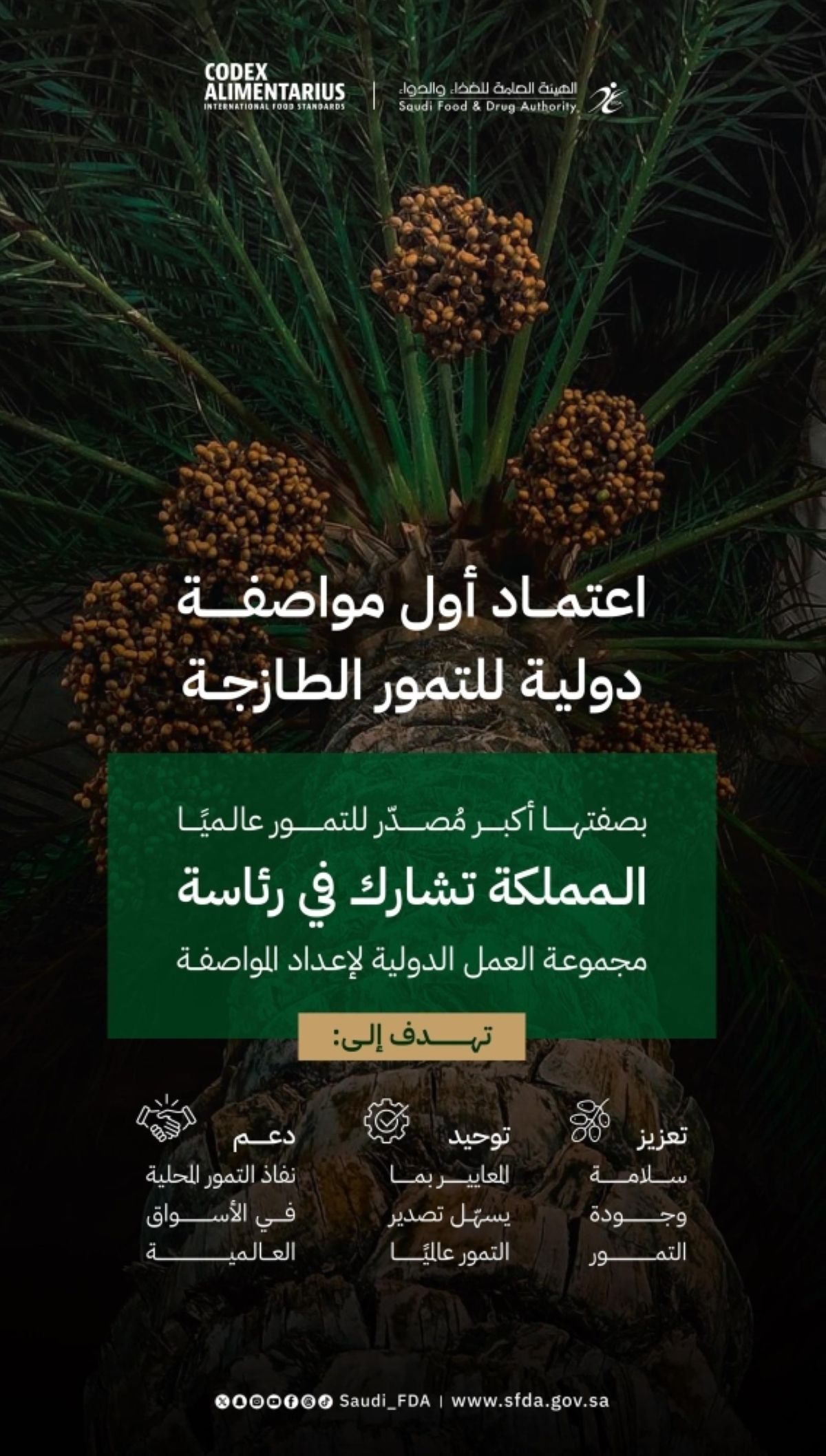 المملكة تقود إنجازا دوليا 
باعتماد أول مواصفة عالمية للتمور الطازجة