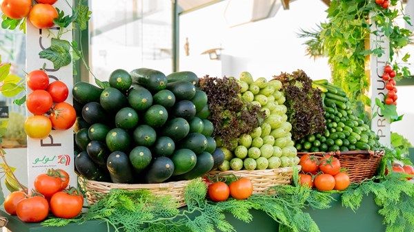 بمهرجان الشيخ زايد.. جناح "جائزة الشيخ منصور بن زايد للتميز الزراعي" يكرس ثقافة الاستدامة